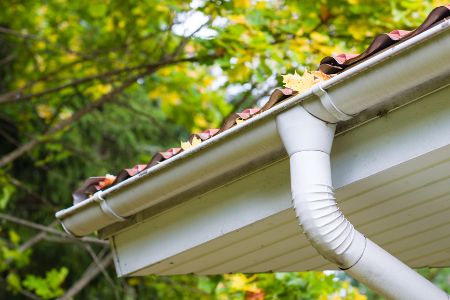 Gutter Cleaning For Home Health